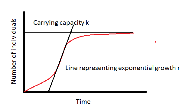 Curva de crecimiento de la población en un ecosistema, con crecimiento exponencial r y capacidad de carga k